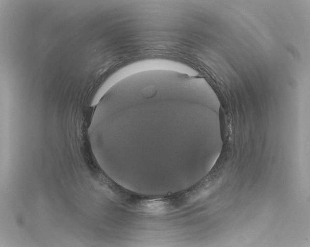 X0000114120219200911161145