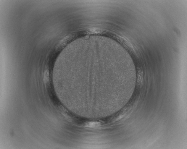 X0000114120220200911161145