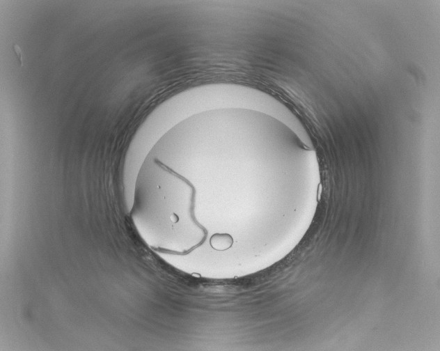 X0000114120221200911161145