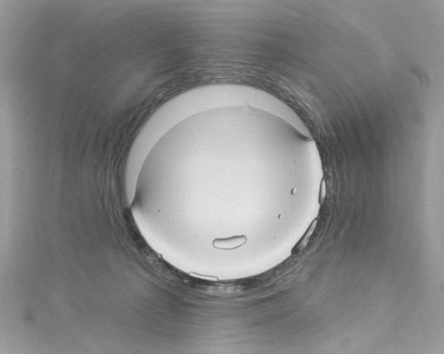 X0000114120225200911161145