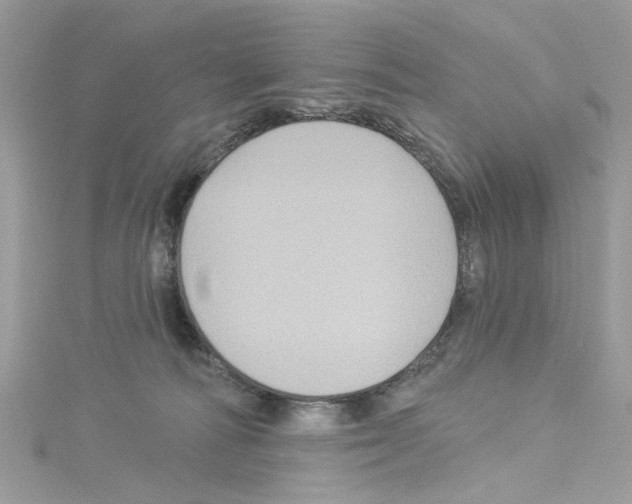 X0000114120226200911161145