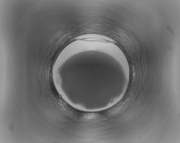 X0000114120231200911161145