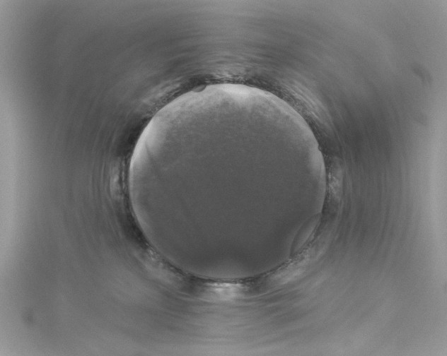 X0000114120233200911161145