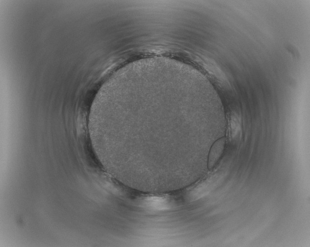 X0000114120236200911161145