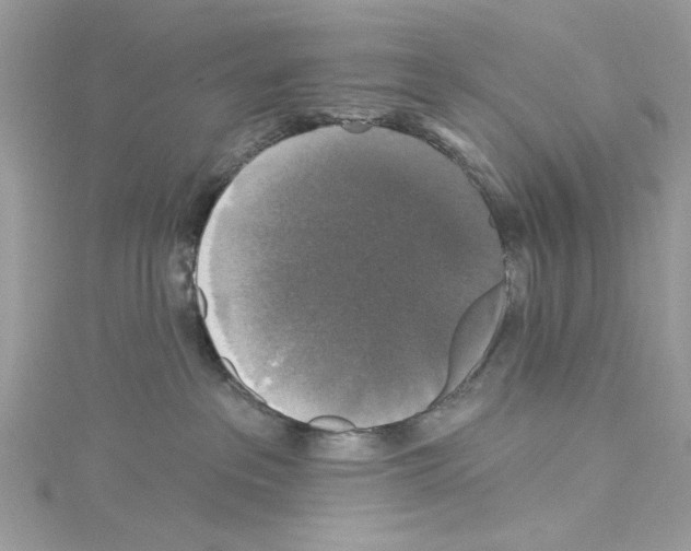 X0000114120237200911161145