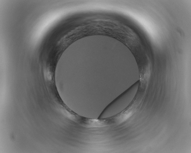 X0000114120239200911161145