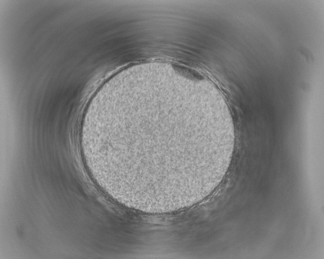 X0000114120241200911161145