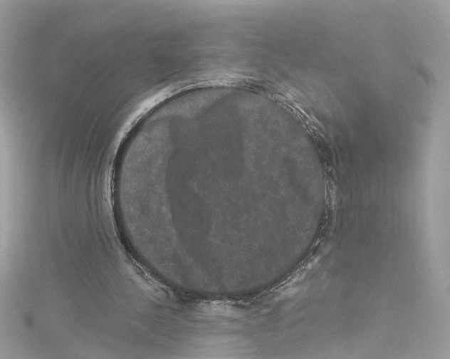 X0000114120244200911161145