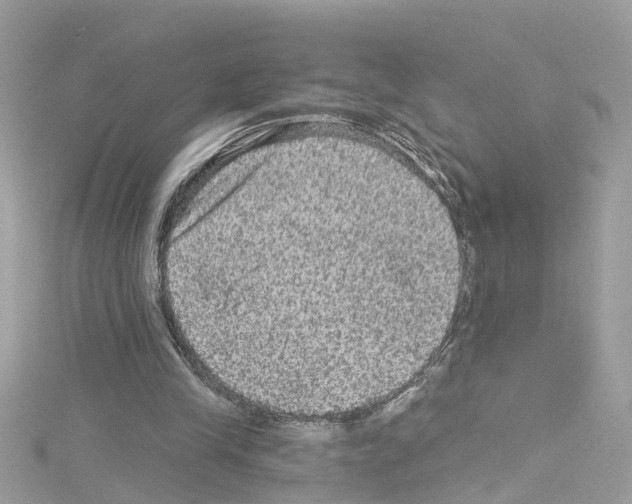 X0000114120245200911161145