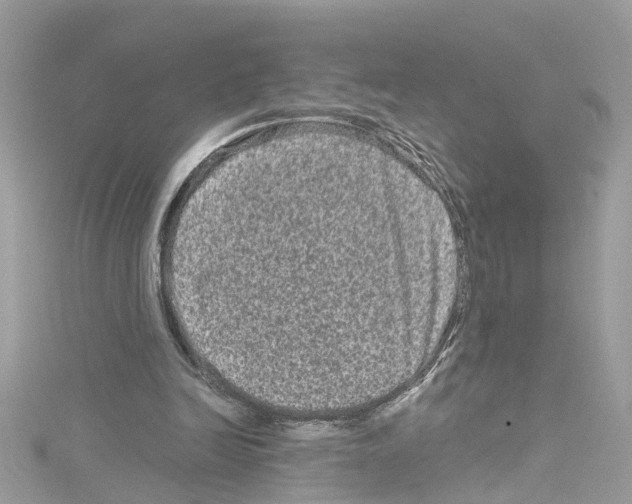 X0000114120246200911161145