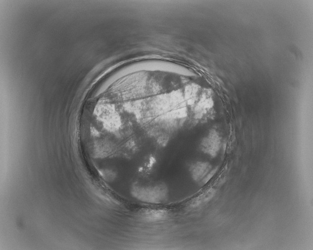 X0000114120247200911161145