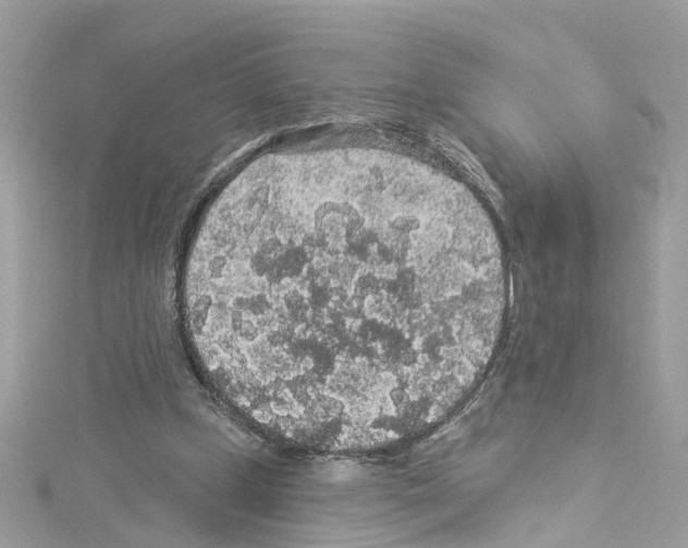 X0000114120249200911161145