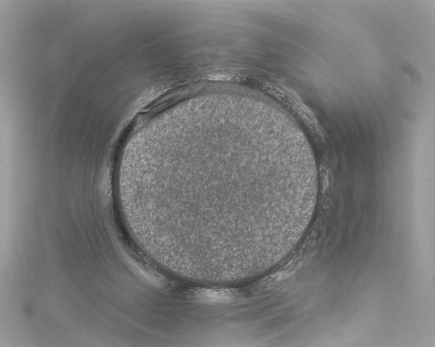 X0000114120250200911161145