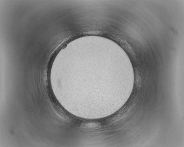 X0000114120251200911161145