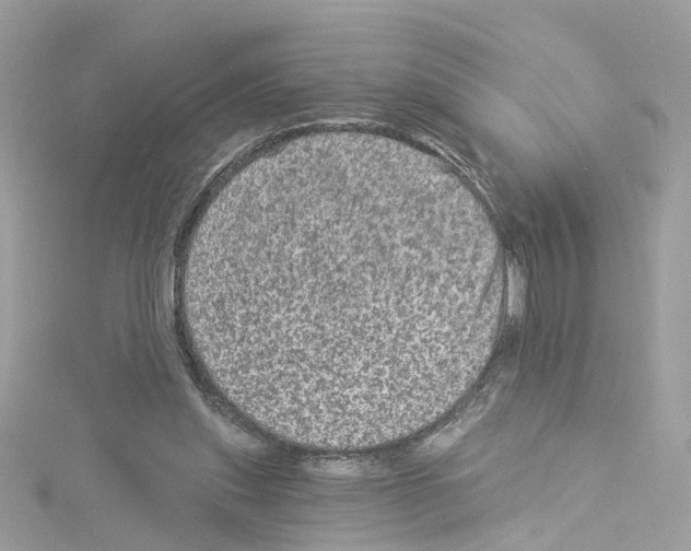 X0000114120253200911161145