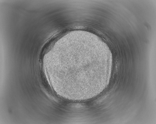 X0000114120254200911161145