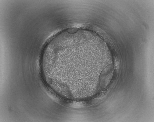 X0000114120256200911161145