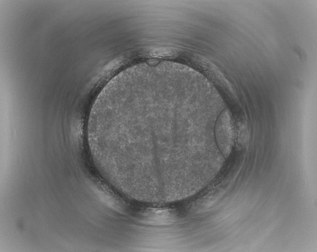 X0000114120260200911161145