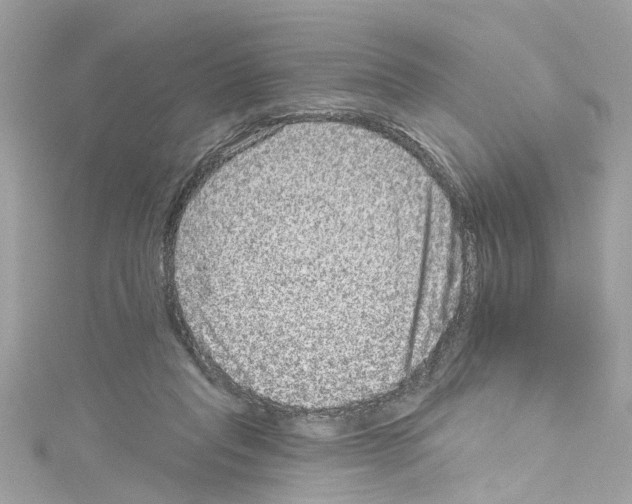 X0000114120261200911161145