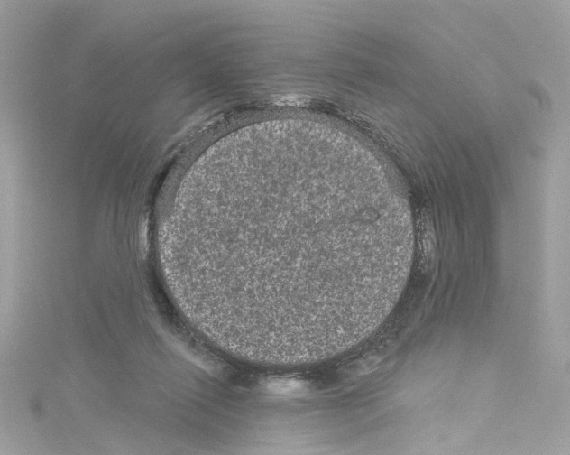 X0000114120262200911161145