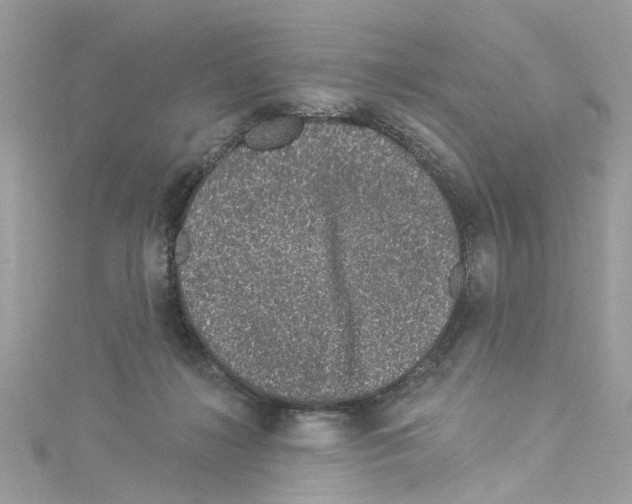 X0000114120268200911161145