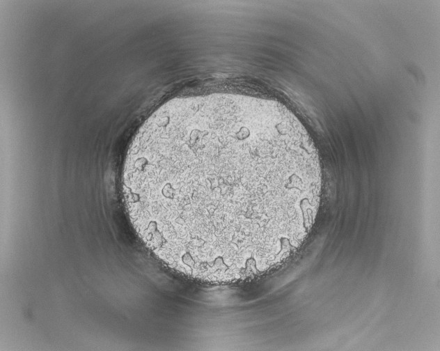 X0000114120269200911161145