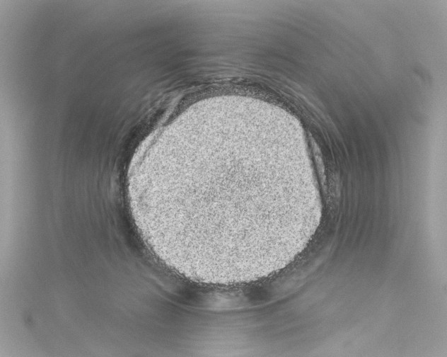 X0000114120270200911161145