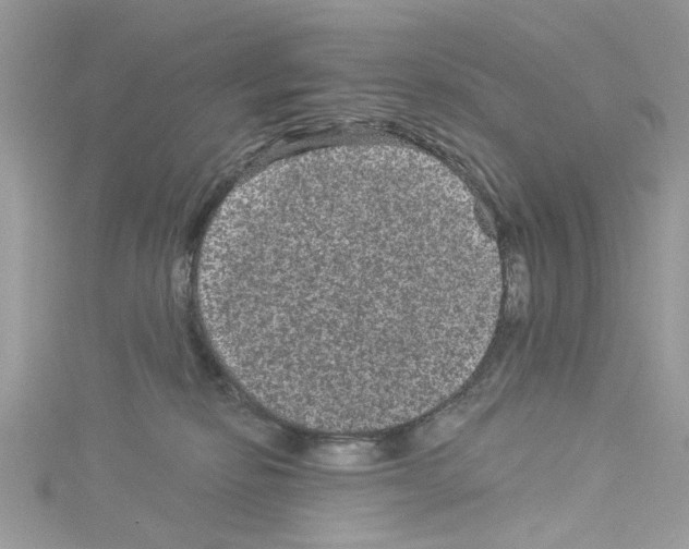 X0000114120278200911161145