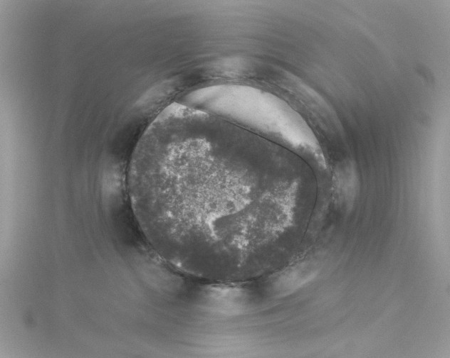 X0000114120284200911161145