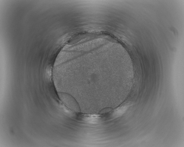 X0000114120288200911161145