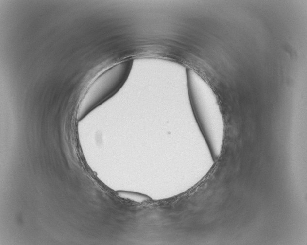 X0000114120289200911161145