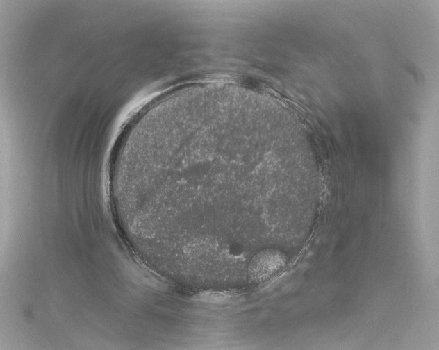 X0000114120294200911161144