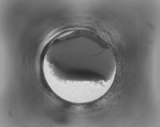 X0000114120295200911161144