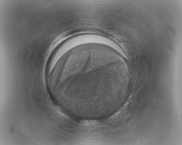 X0000114120296200911161144