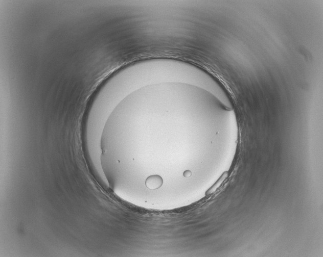 X0000114120297200911161144