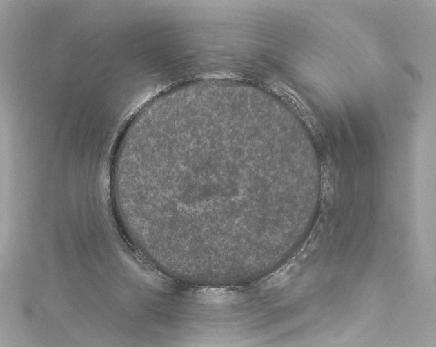 X0000114120298200911161144