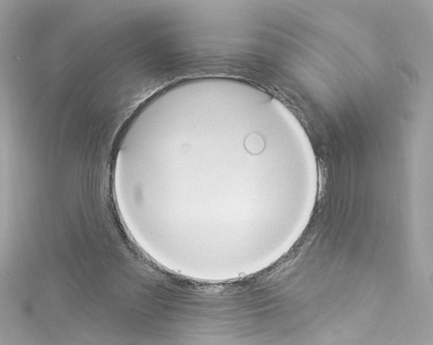 X0000114120301200911161144