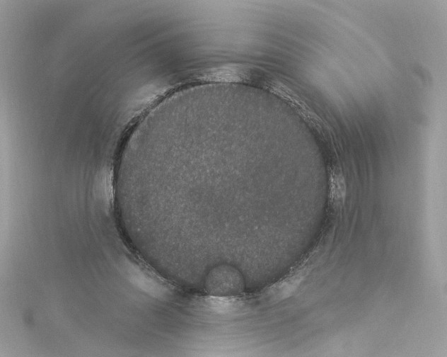 X0000114120302200911161144