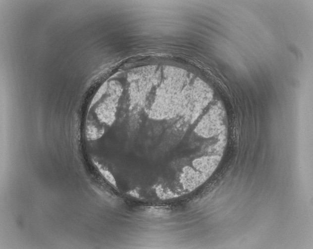 X0000114120303200911161144