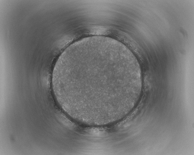 X0000114120305200911161144