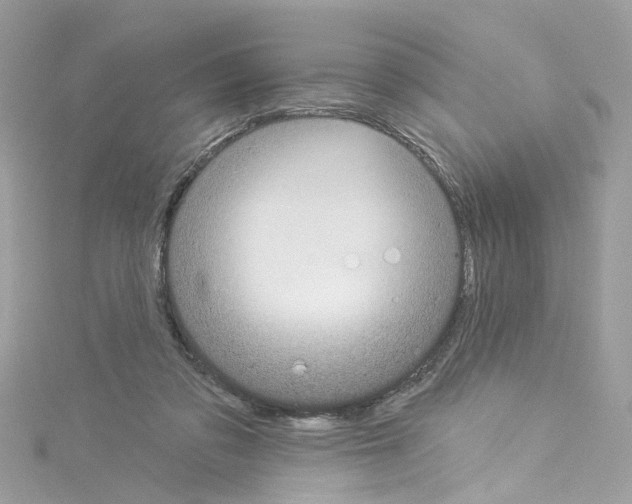 X0000114120309200911161144