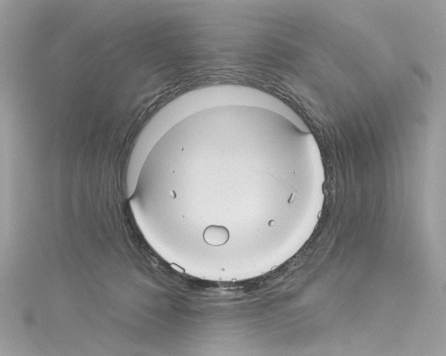 X0000114120320200911161144