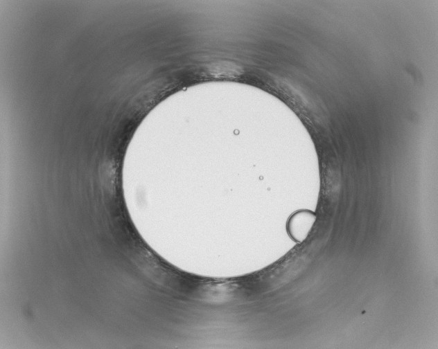 X0000114120321200911161144