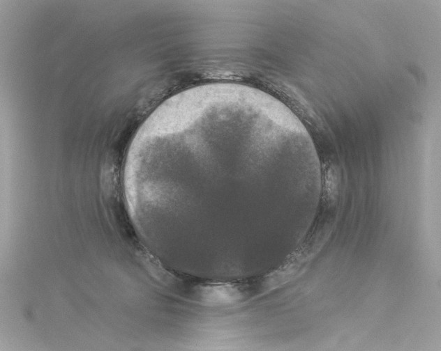 X0000114120322200911161144