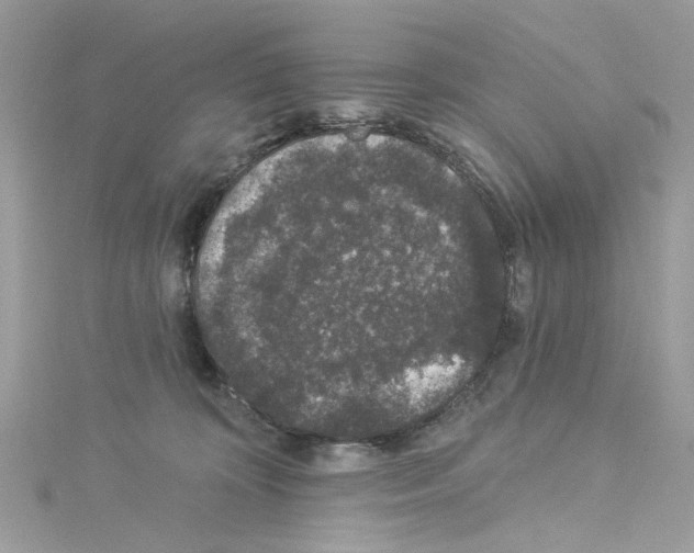 X0000114120324200911161144