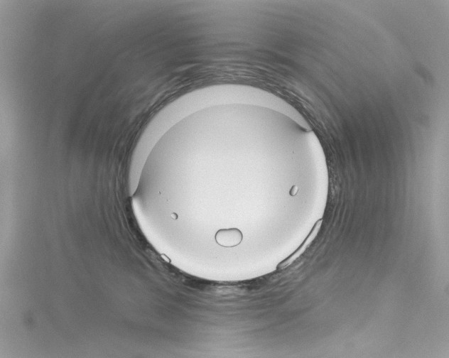 X0000114120327200911161144