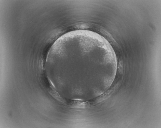 X0000114120330200911161144