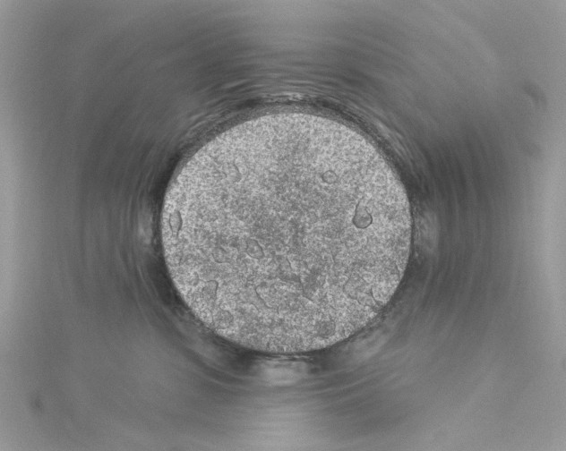 X0000114120331200911161144