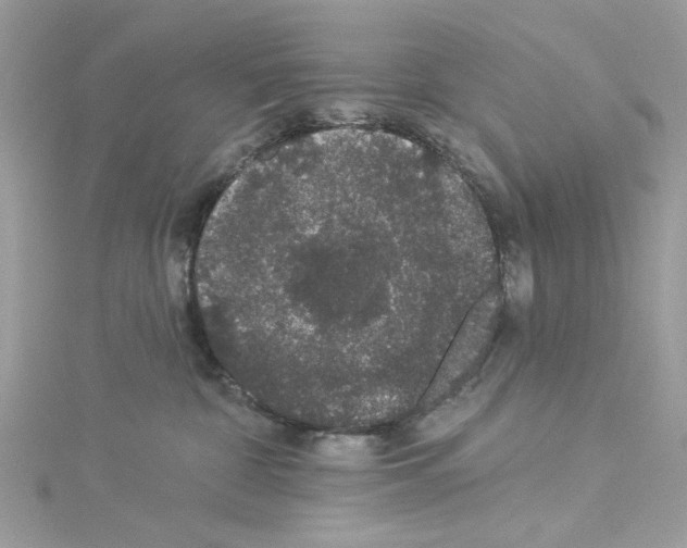 X0000114120332200911161144