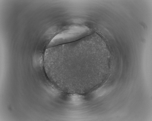 X0000114120336200911161144